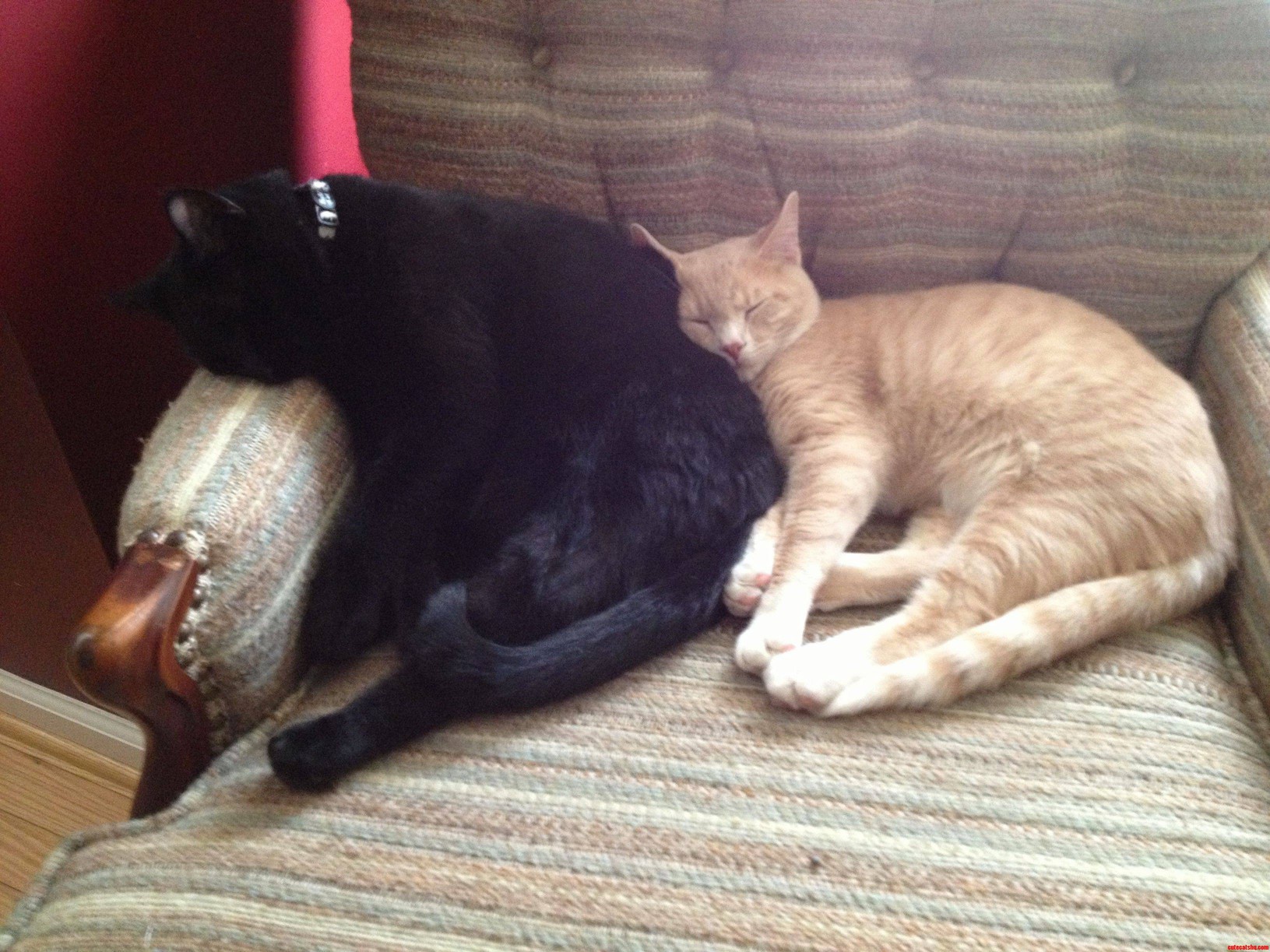 What Makes a Better Pillow Than a Fat Stomach