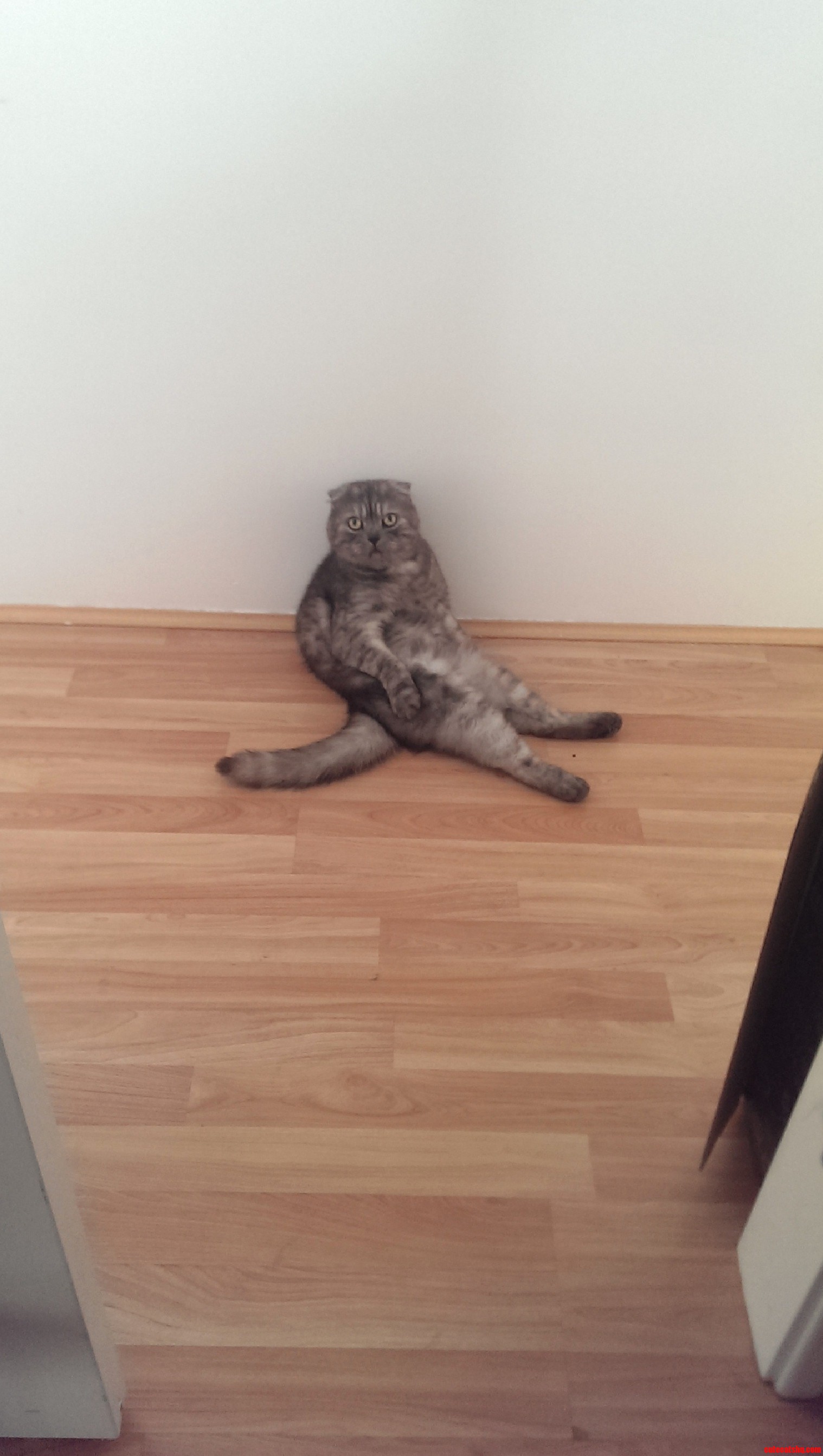 What Are  You Lookin at