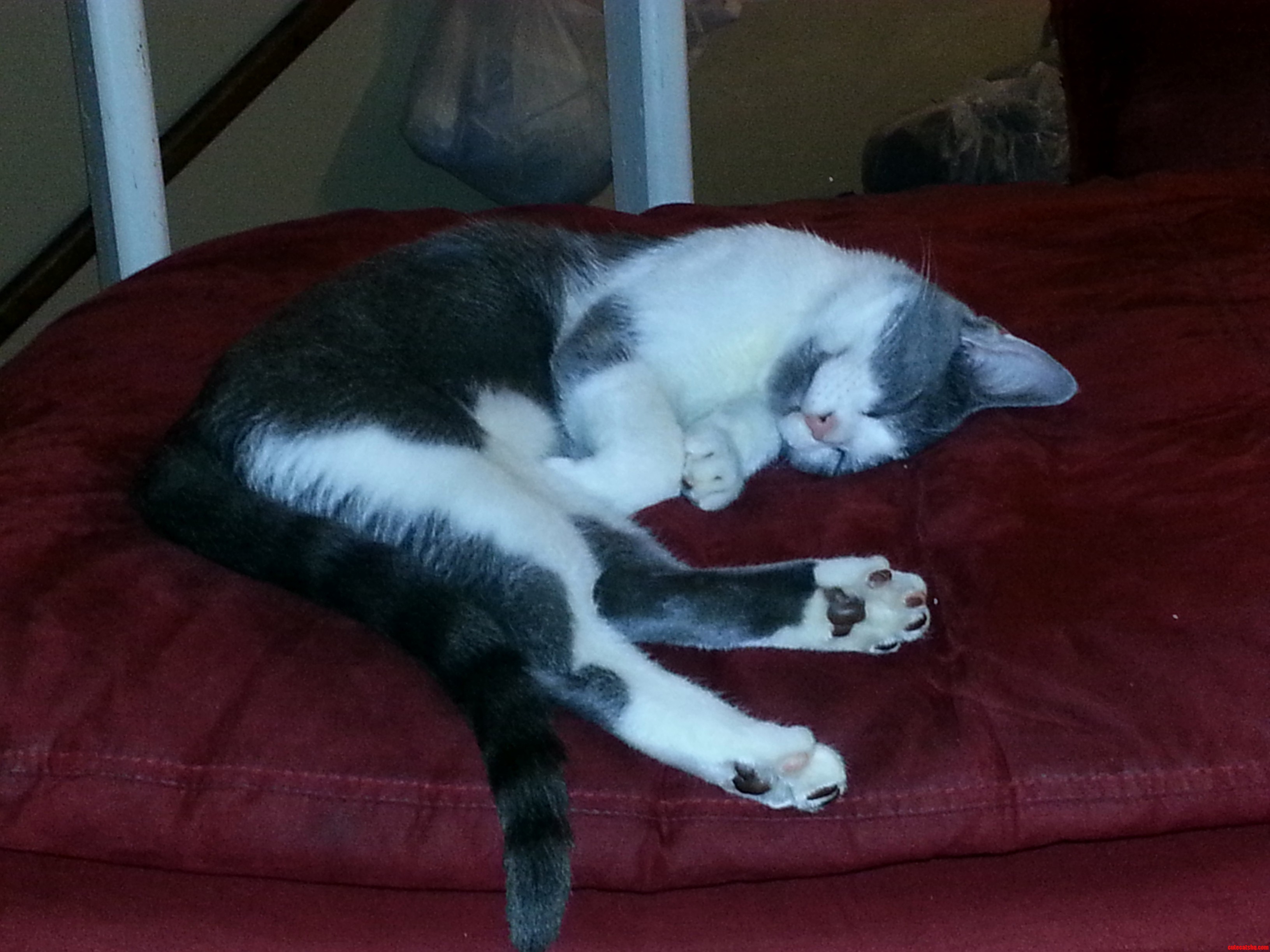 Whatever Shes Dreaming About It Must Be Nice.