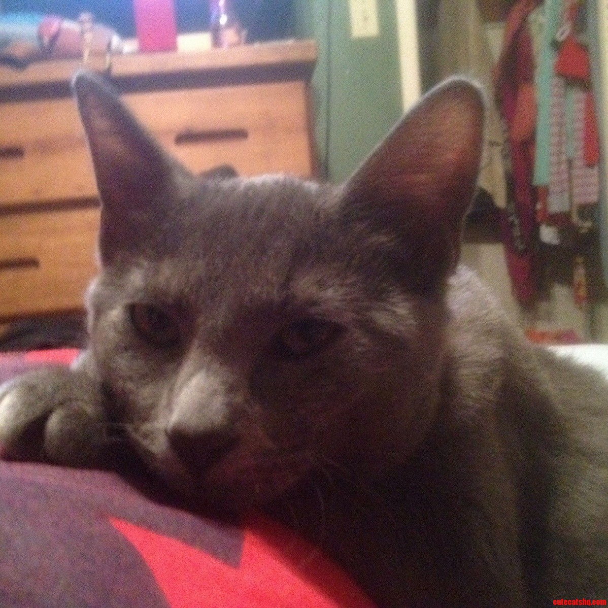 When She Is Not Biting She Can Be Pretty Sweet.