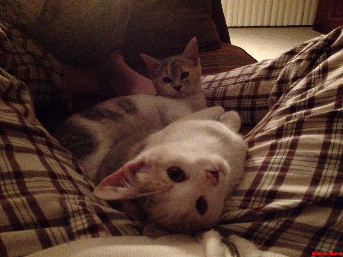 Whenever I Try to Take a Nap...