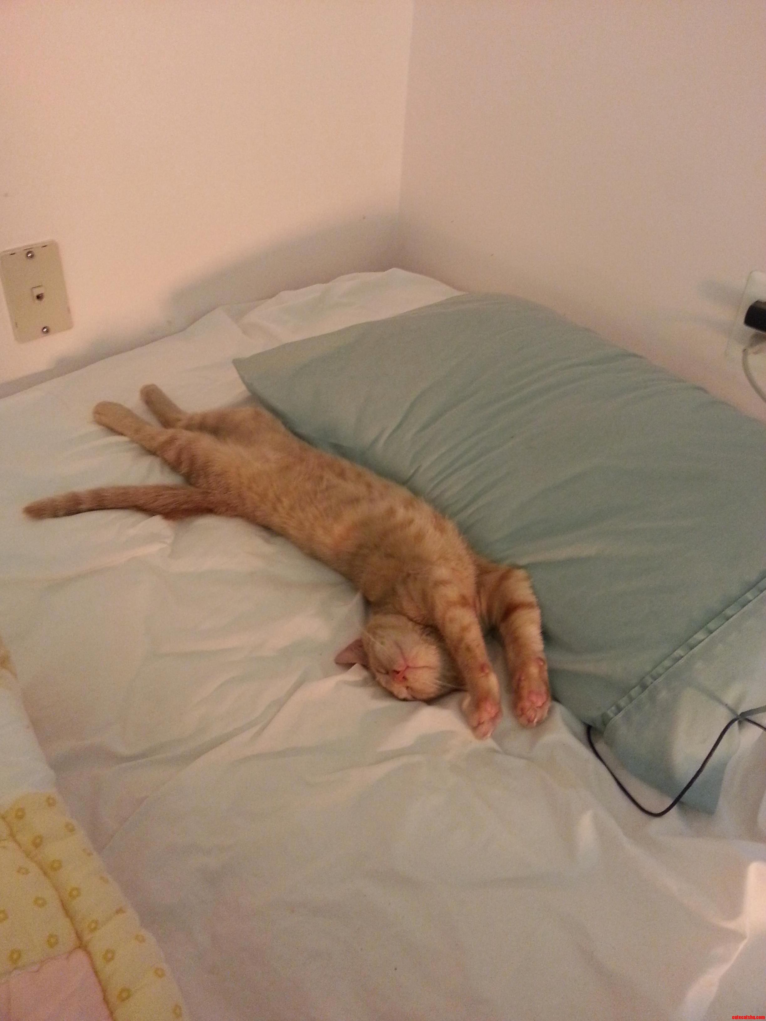 Where Do I Get to Sleep