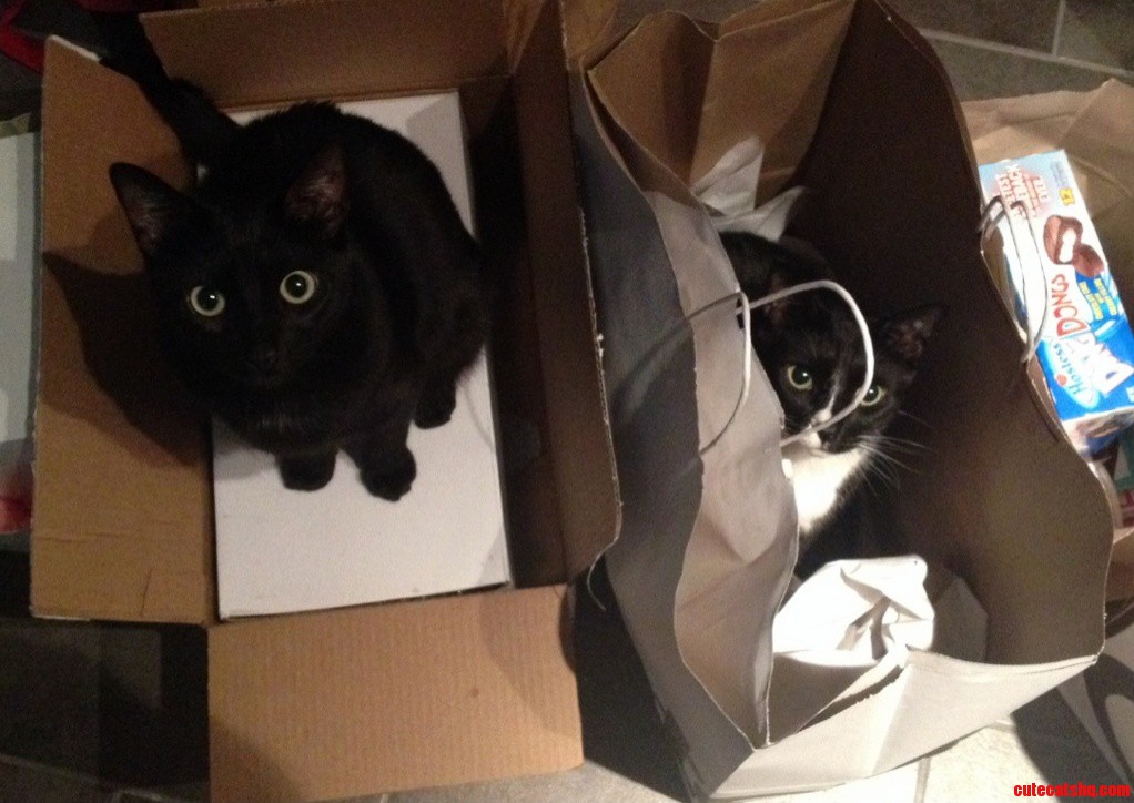While Unpacking Every Box and Every Bag Needed Inspecting.