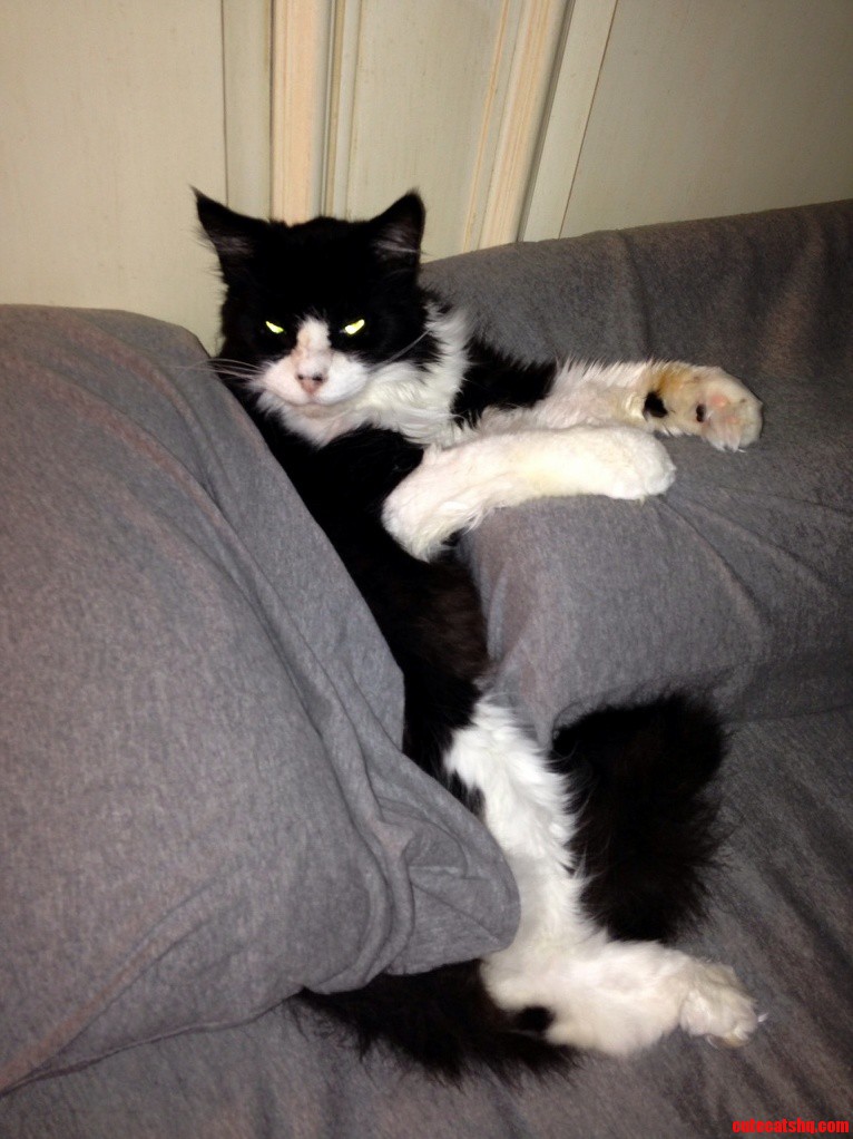 Who Hath Awoken Me from My Slumber