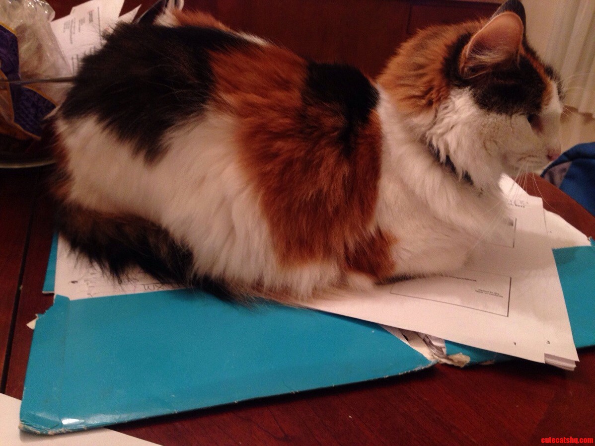 Why I Dont Do My Homework