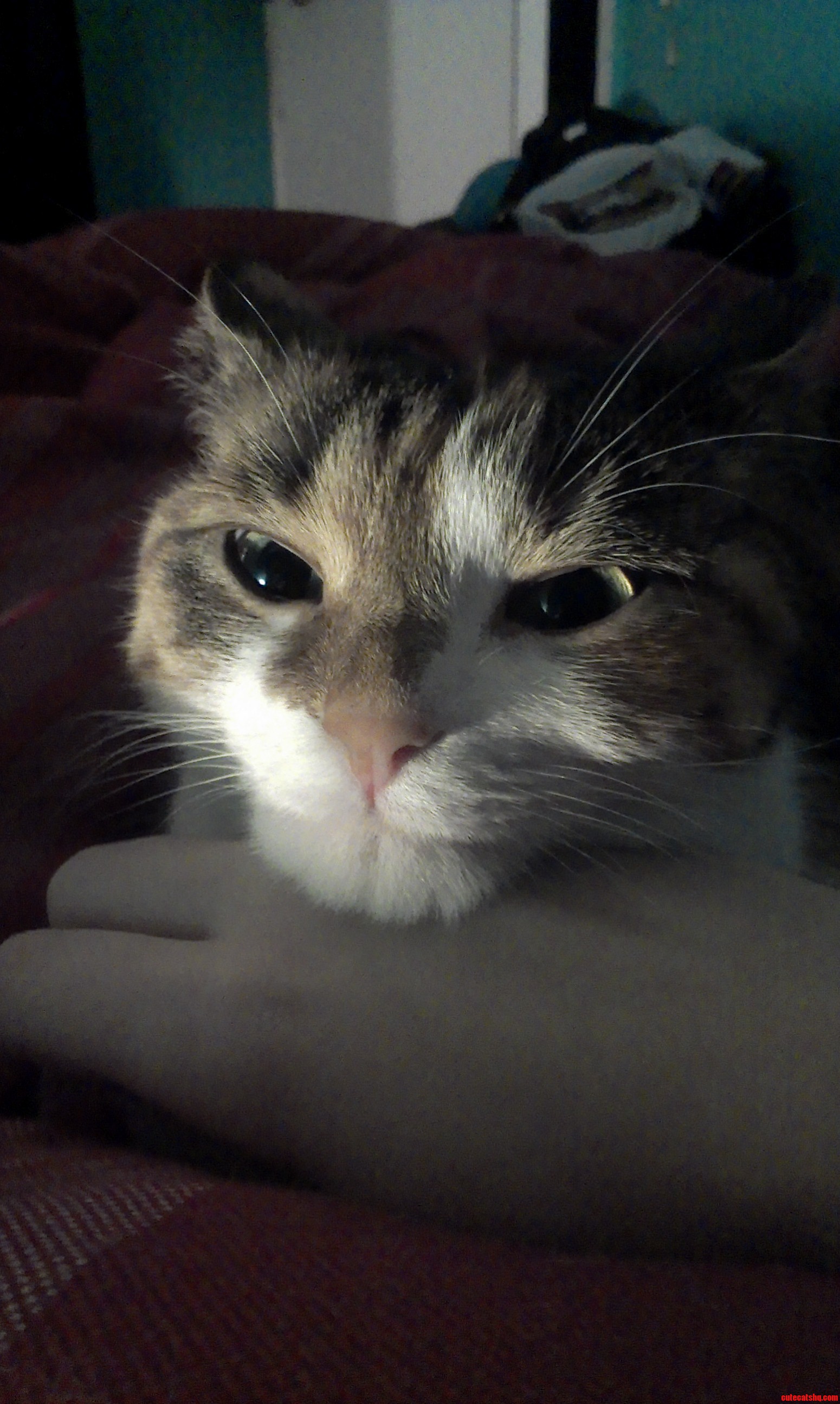 Why She Look So Evil