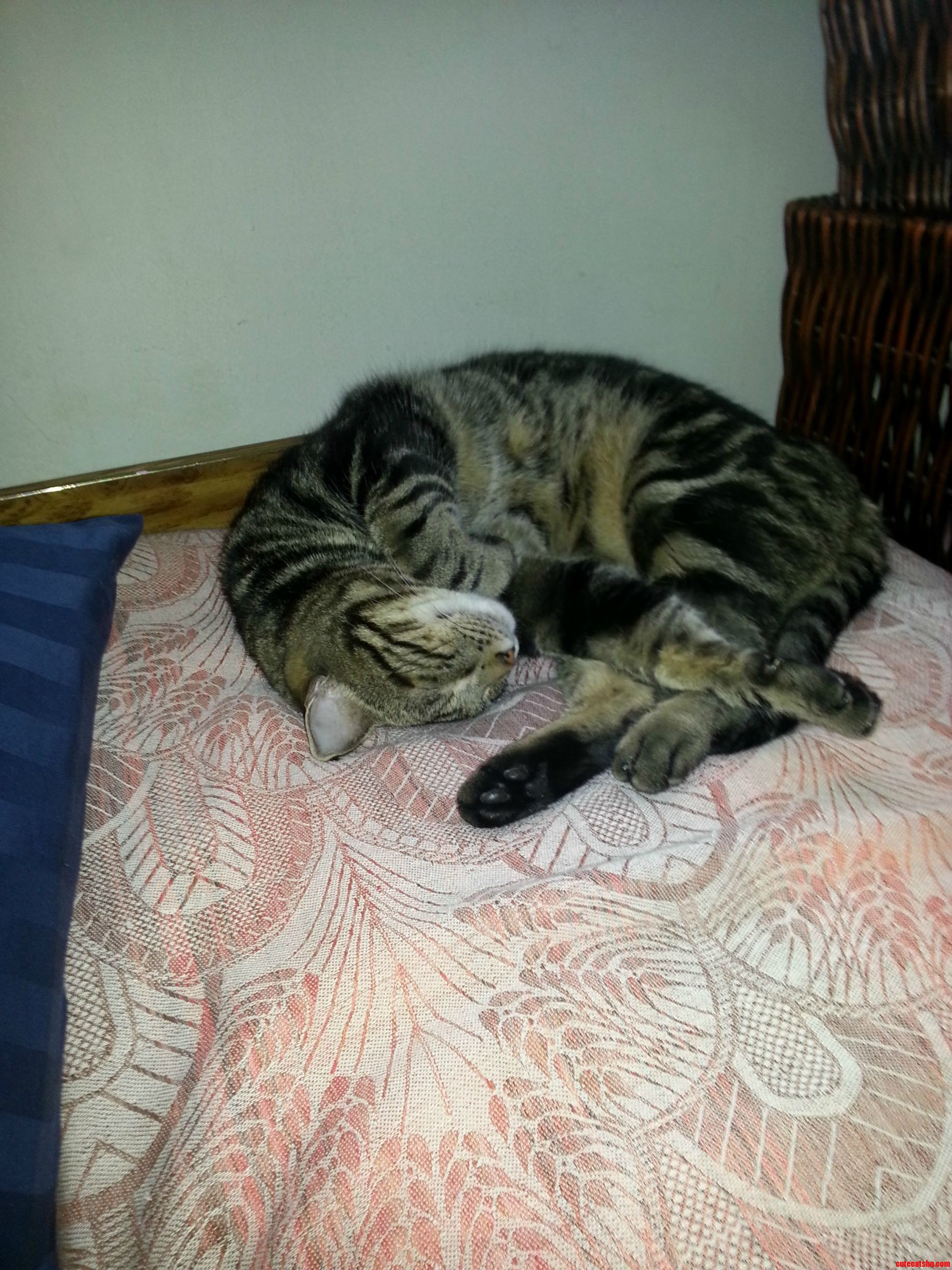 Woke Up and Found This Guy Sleeping Near Me