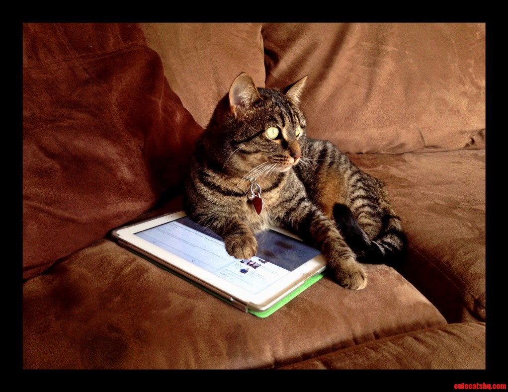 Wumpet and Her Ipad
