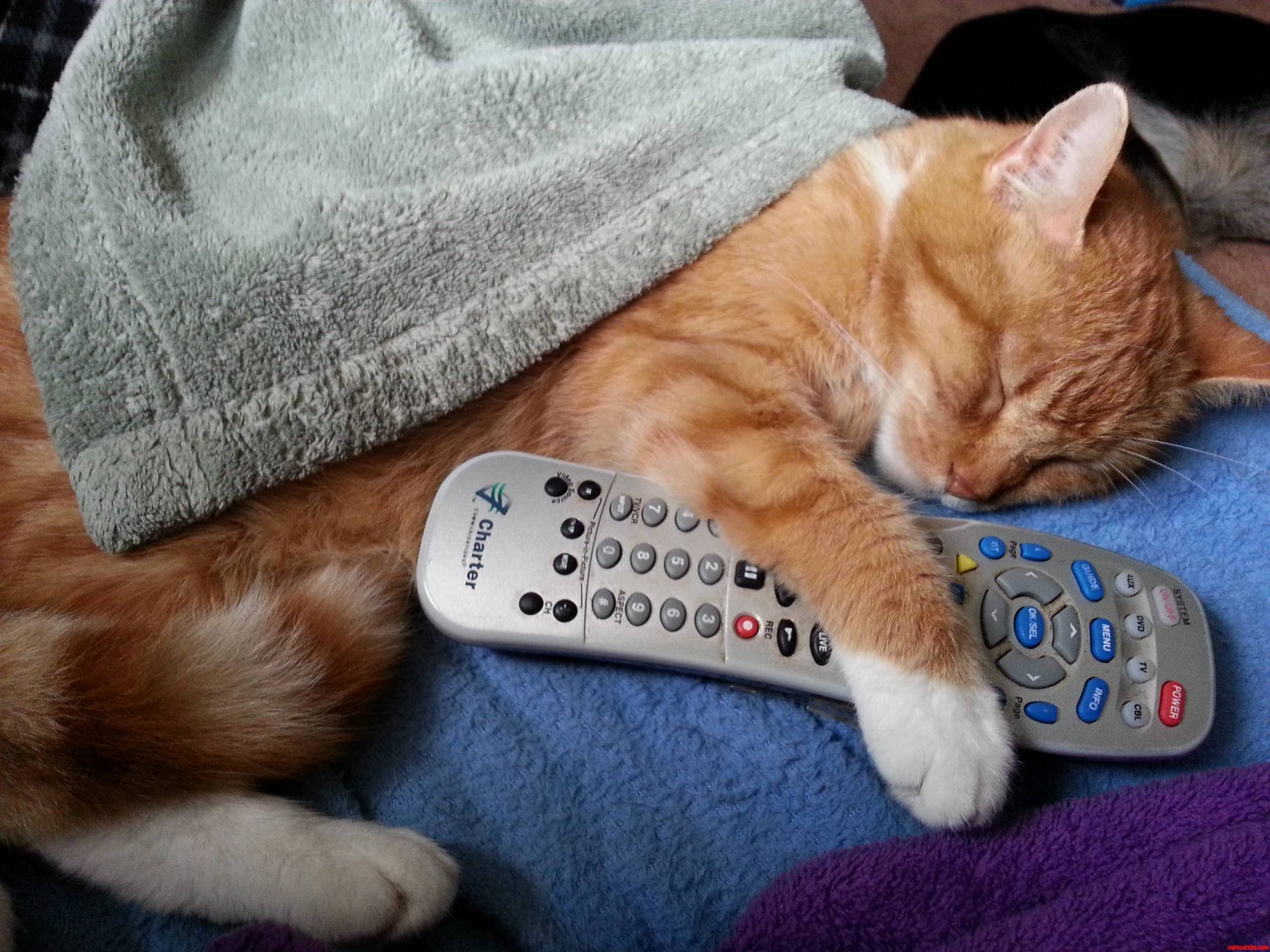 Yes This Is Mine.