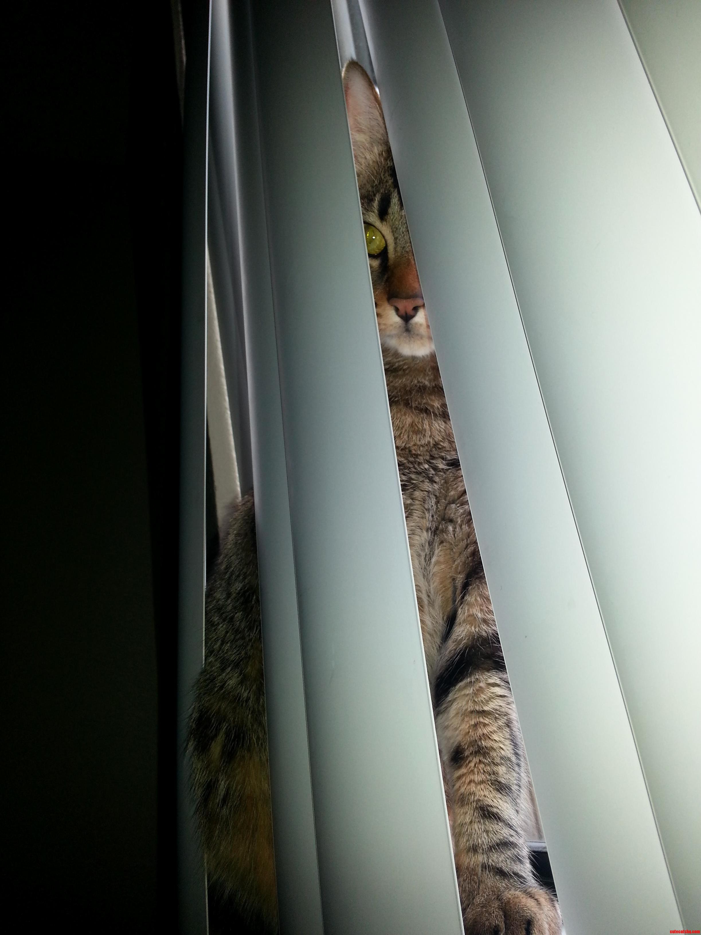 You Cant Seeee Meee...