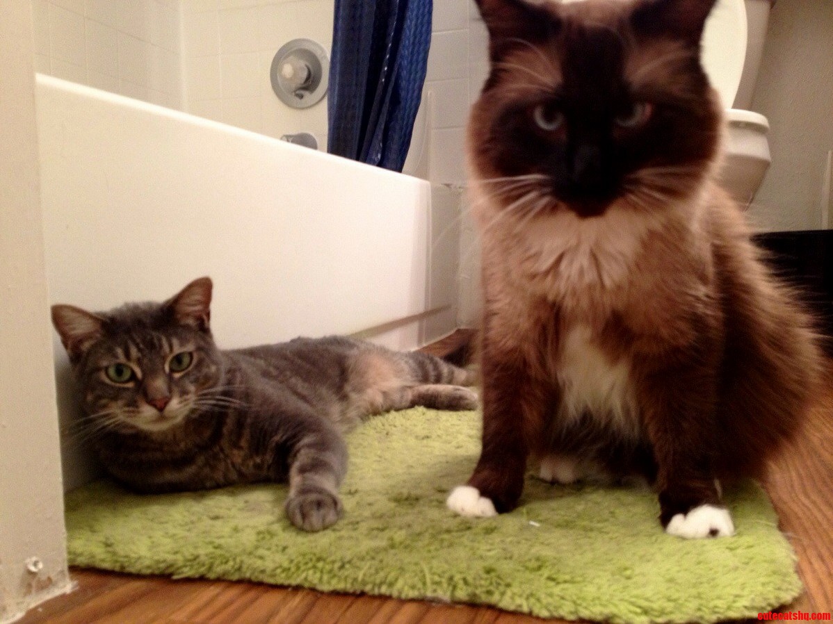 You Done Come to the Wrong Bathroom.