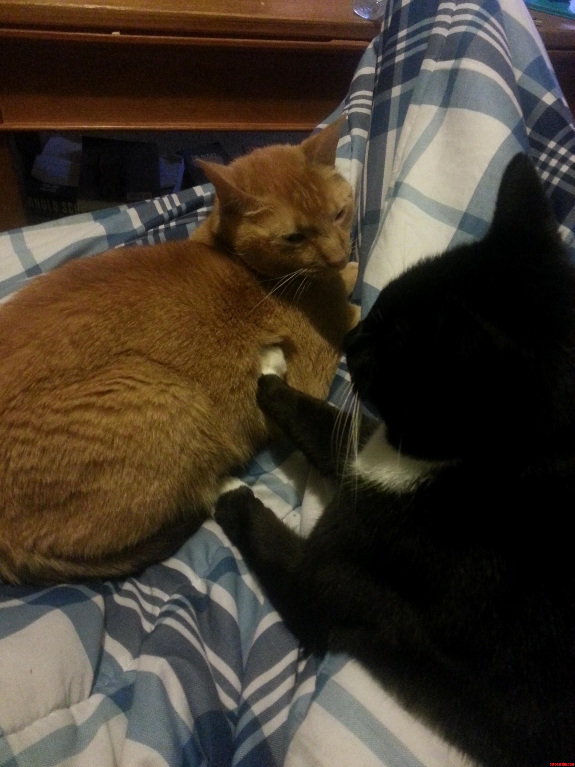 Youre a Little Too Close Bro