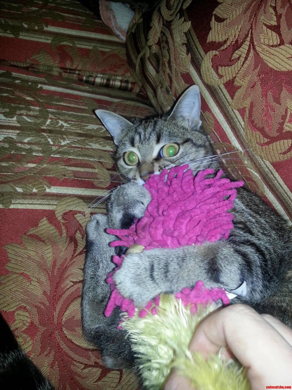 Zula Being a Little Monster