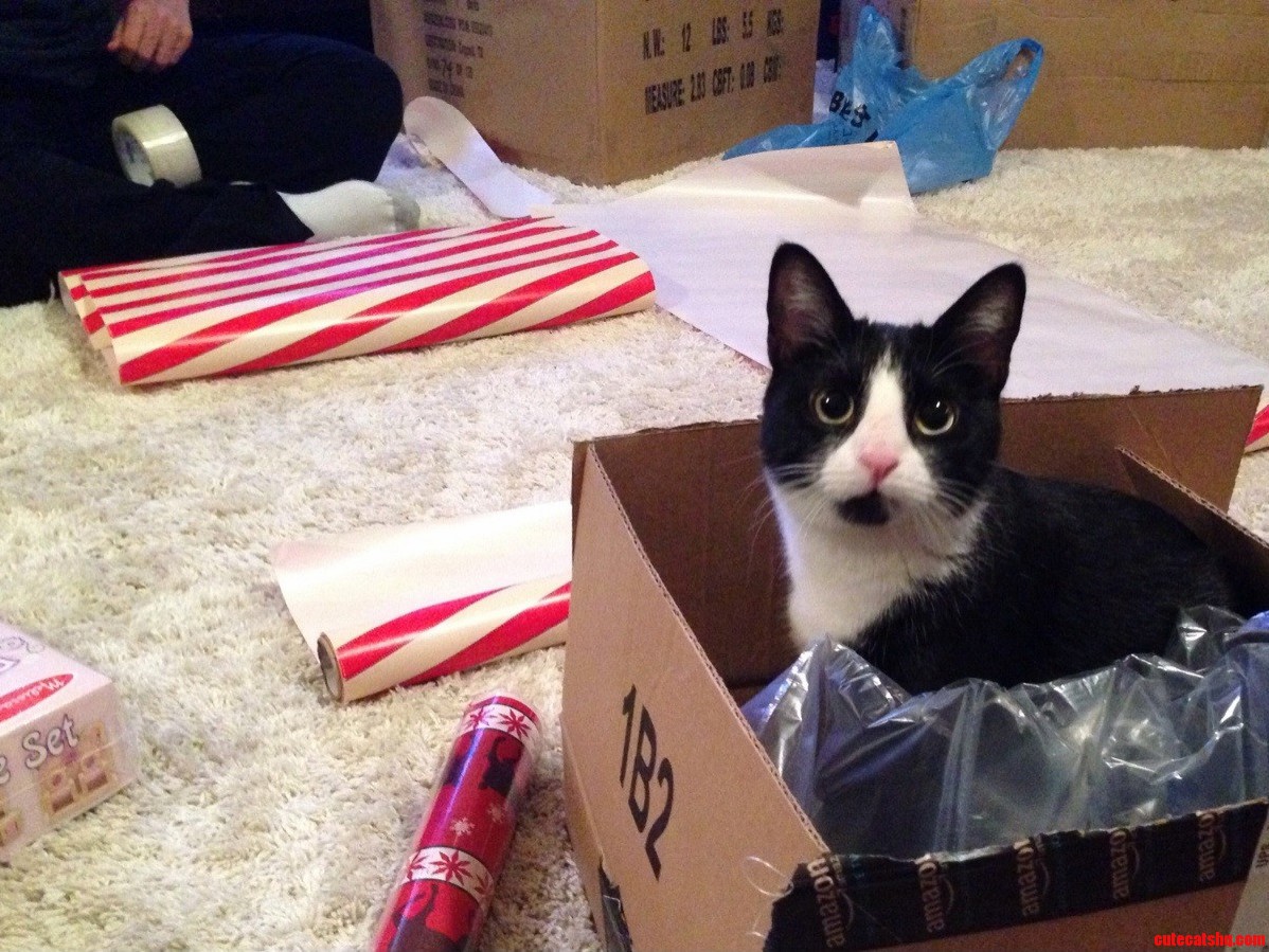 A Box for Every Season.