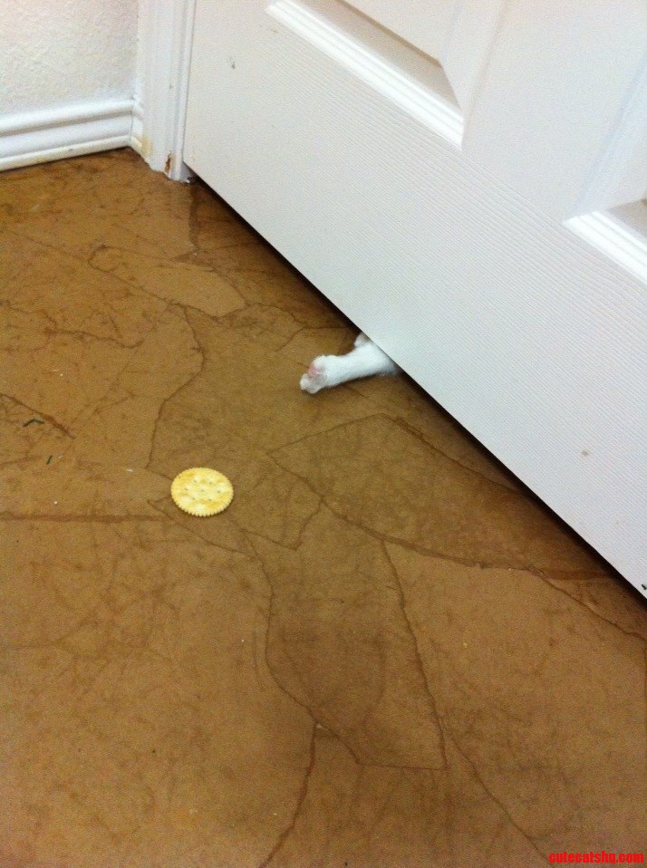 A Snackrifice to the Beast Beyond the Door