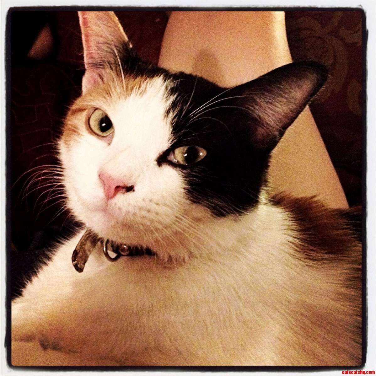 Agnes Poses As the Mona Lisa. So Serious Yet Smirky.