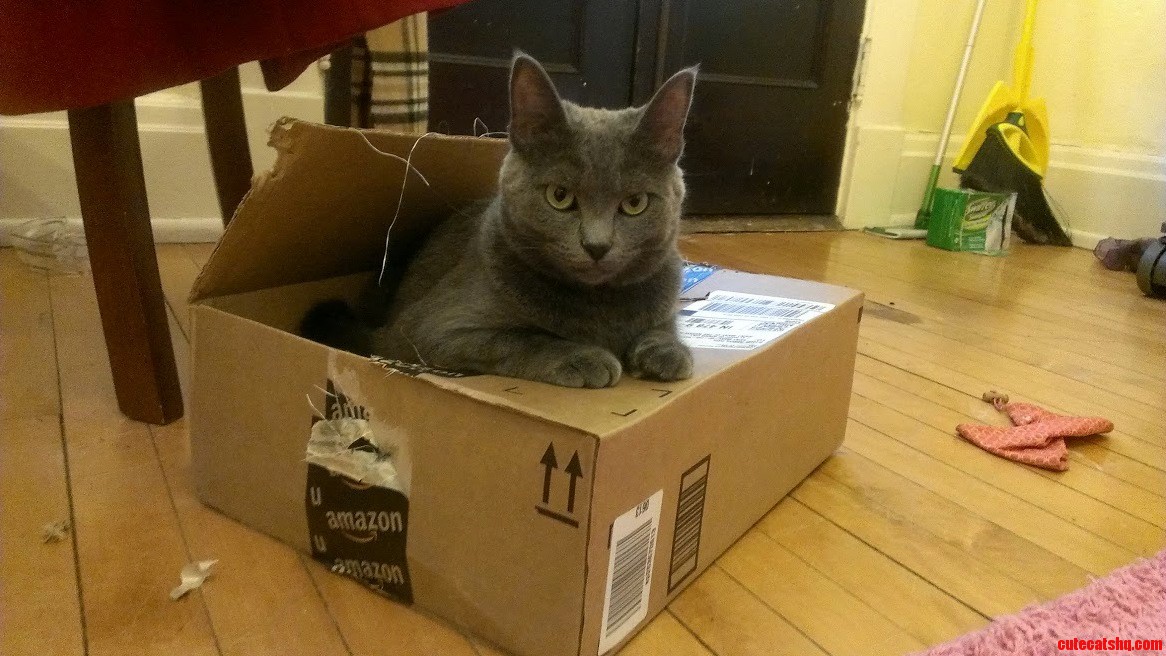 Amazon Really Does Sell Everything