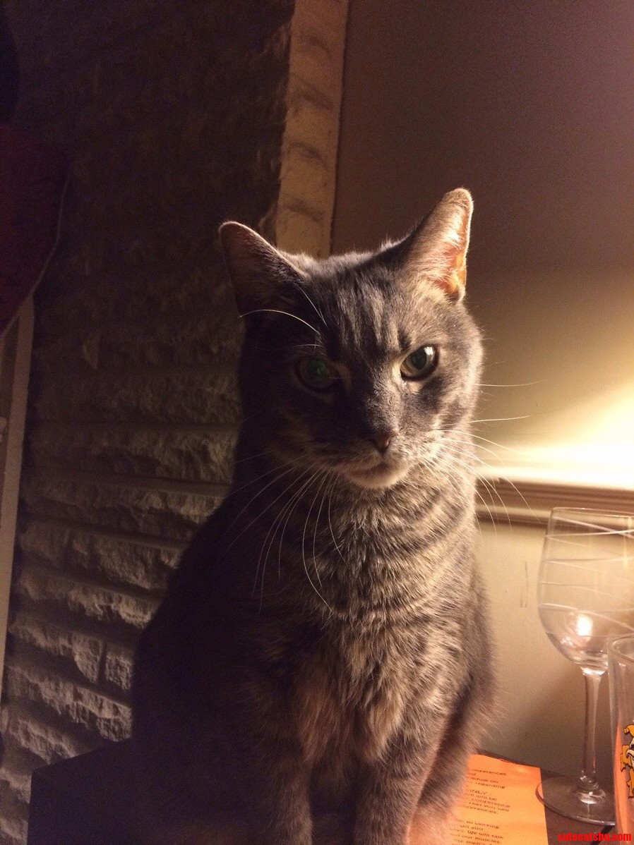 Apollo Creed Wants Some Food