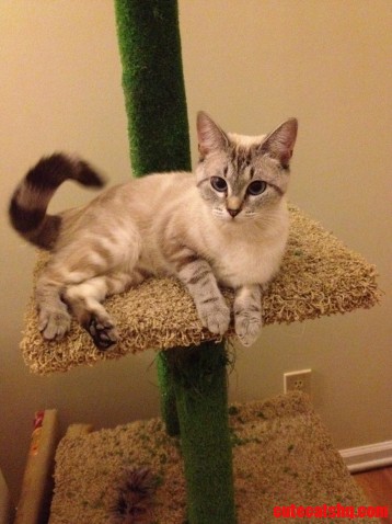 As Comfortable As She Can Be.