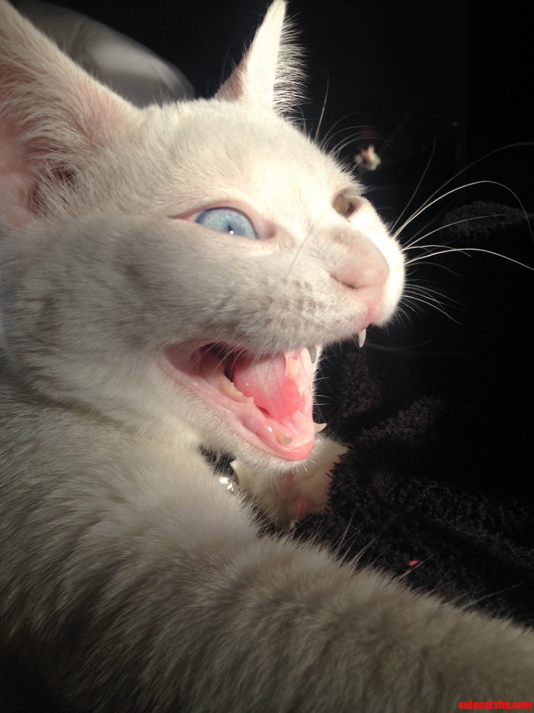 As Soon As the Blinds Were Opened.