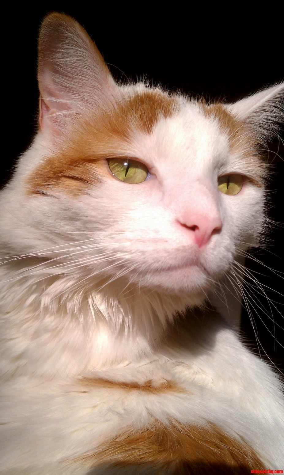Azul and One of He Glamour Shots