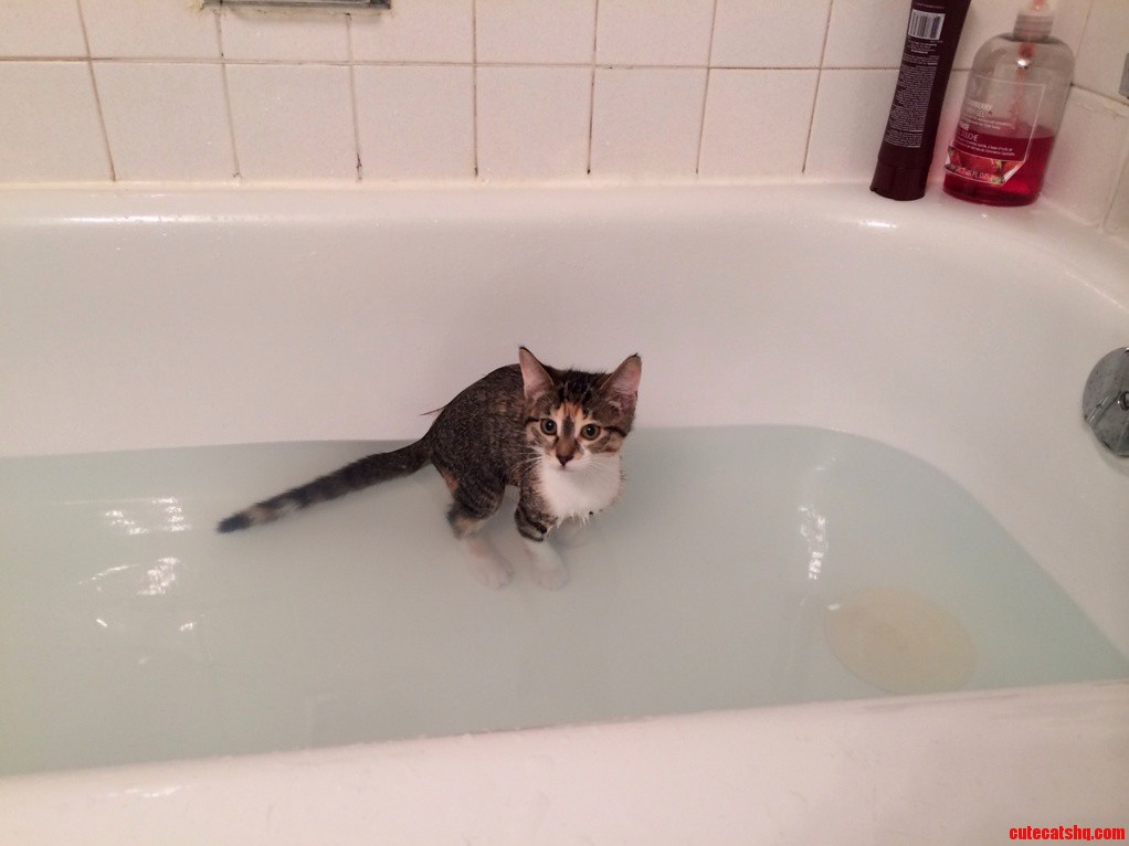 Bath Time