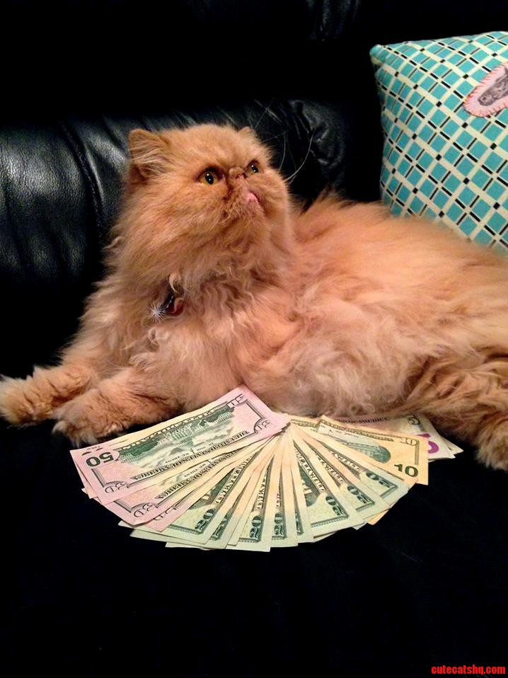 Biff Gettin Papurrrrr
