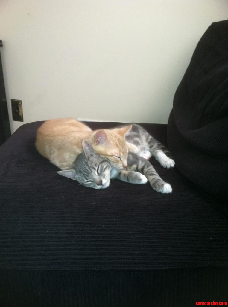 Brotherly Love