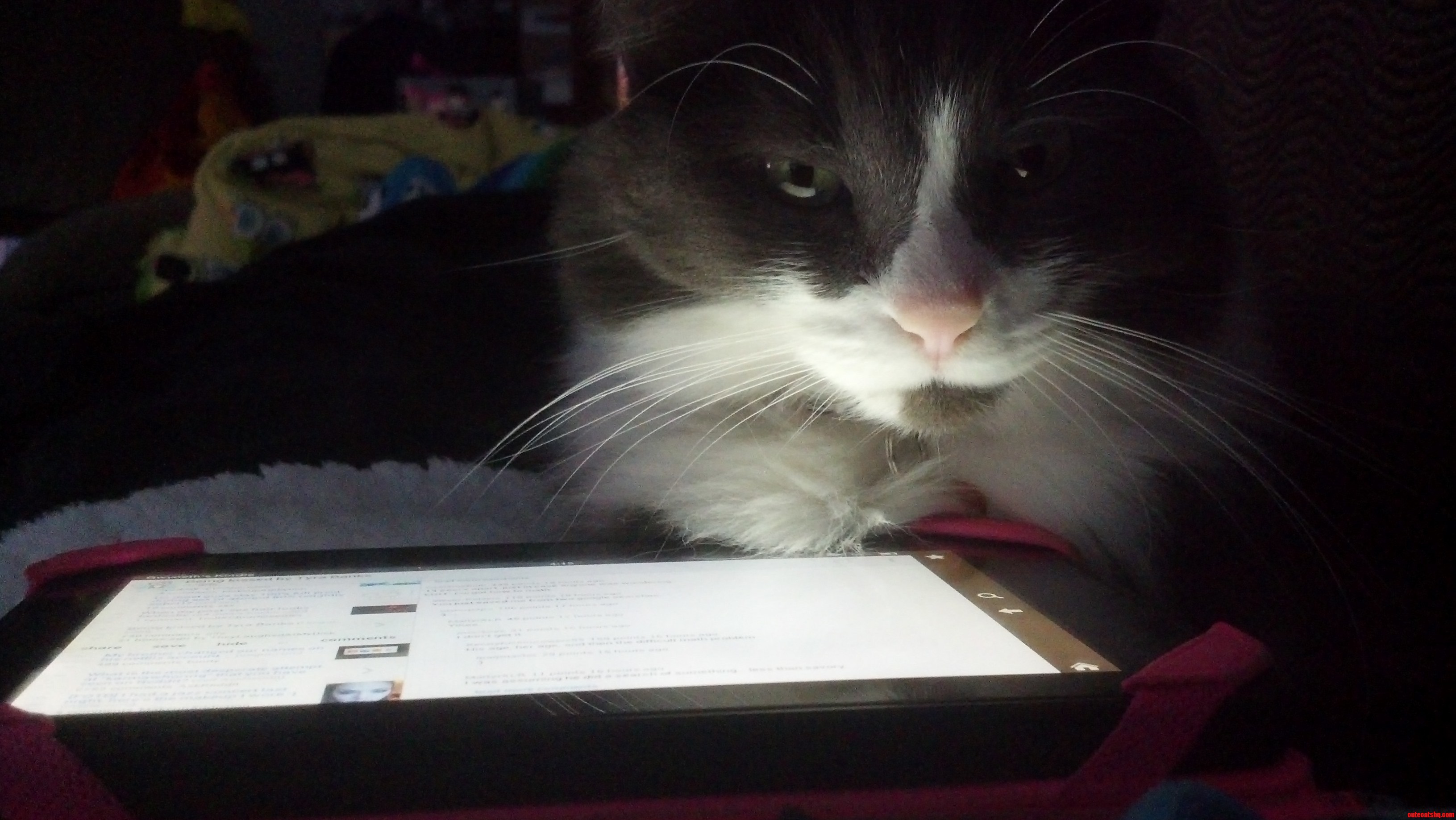 Browsing with Cosmo