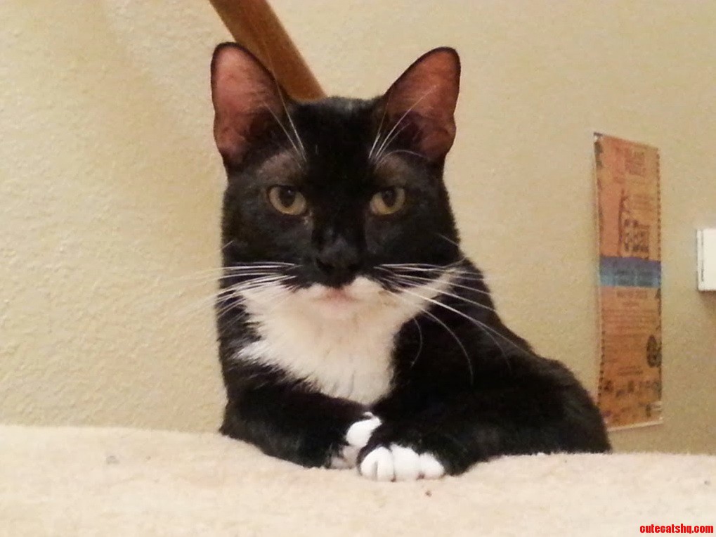Bruce in His How You Doin Position.
