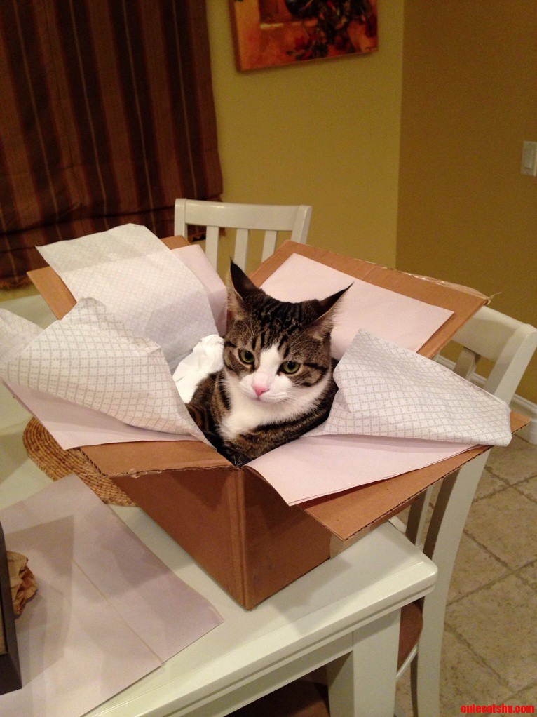 Came to Visit Folks Because They Said I Got a Package in the Mail. Within Seconds After Opening...