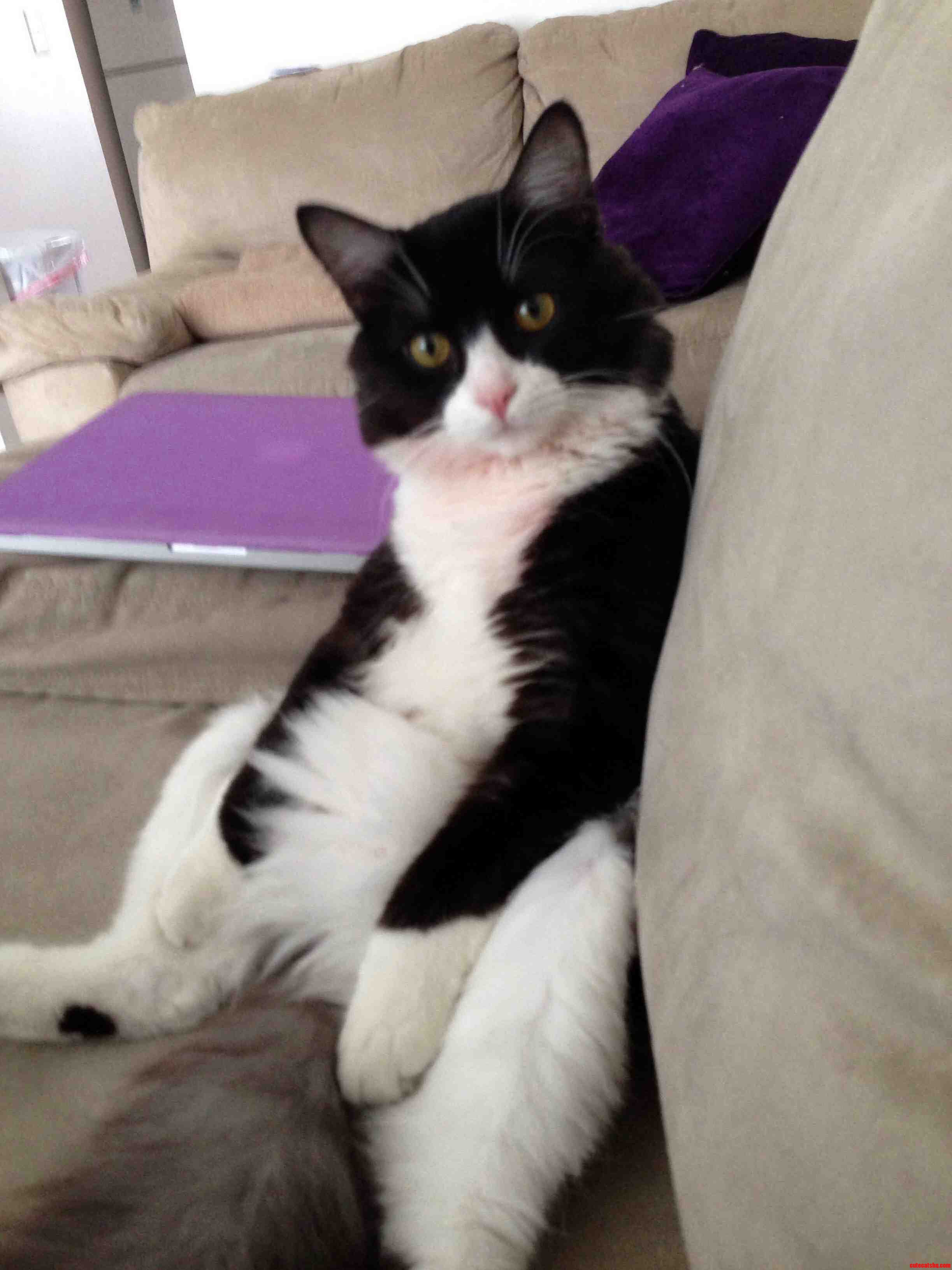 Can You Pass the Remote