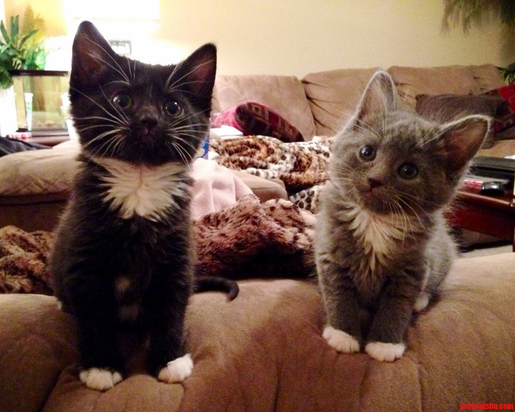 Can You Tell Theyre Sisters