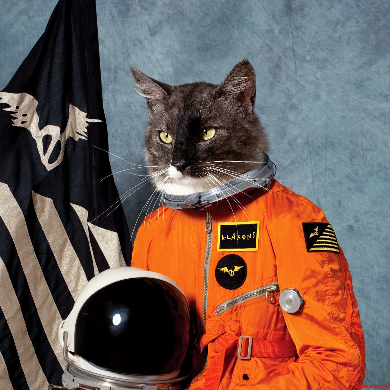 Catmonaut