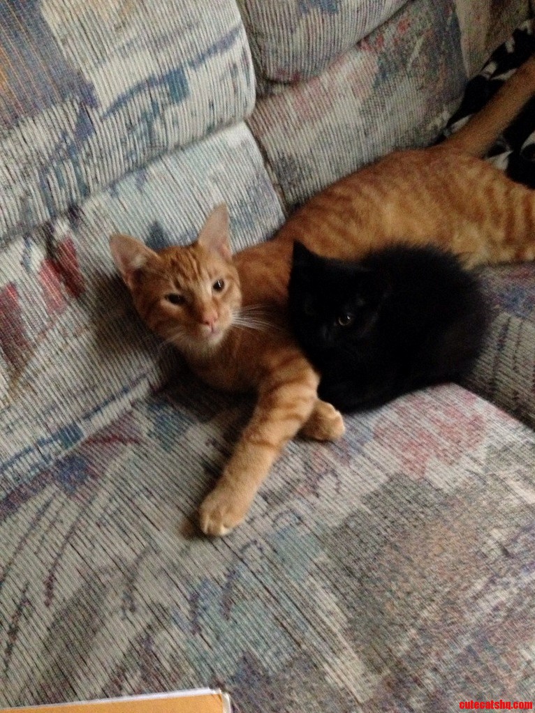 Caught in the Act I Knew They Liked Each Other