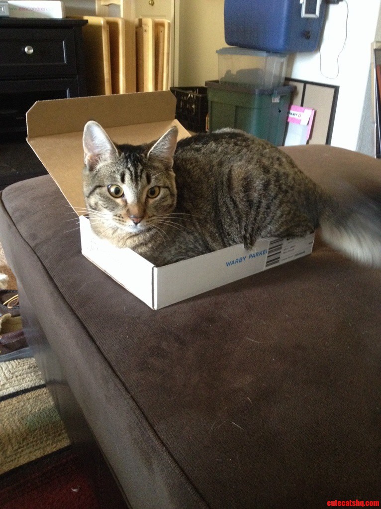 Charley Doesnt Quite Understand the Concept of If It Fits It Ships.