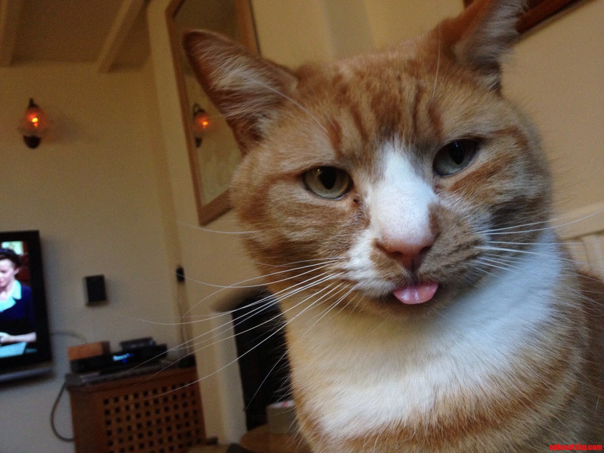 Charlie Forgets to Put His Tongue Away