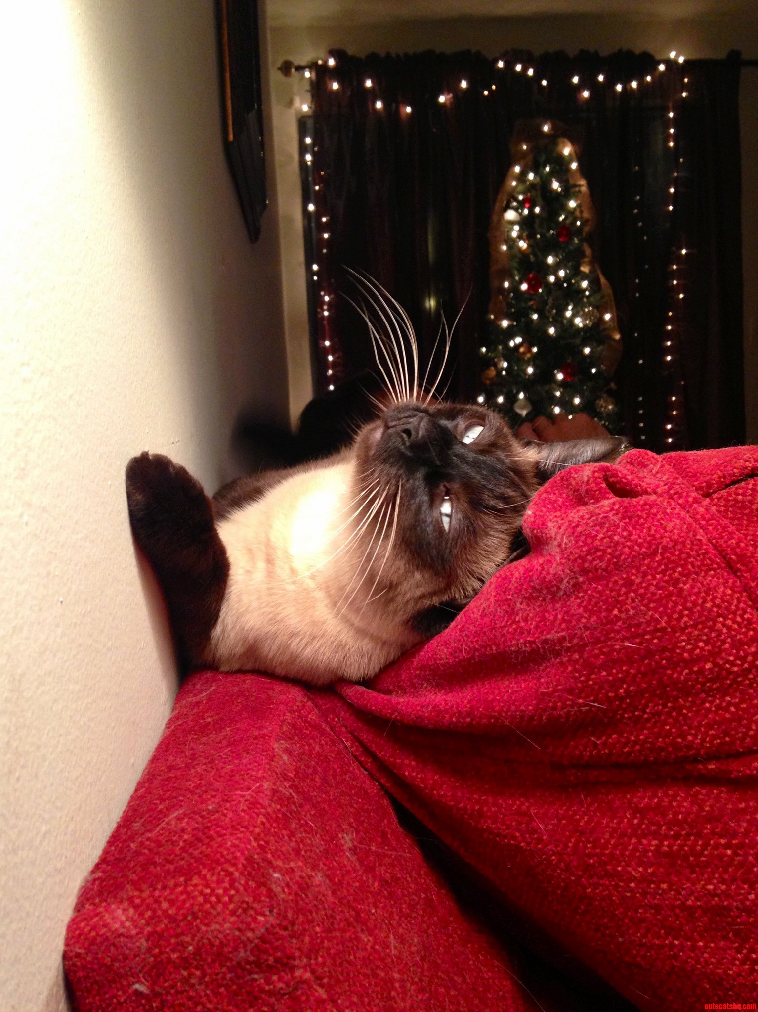 Christmas Bask. Loving Life...