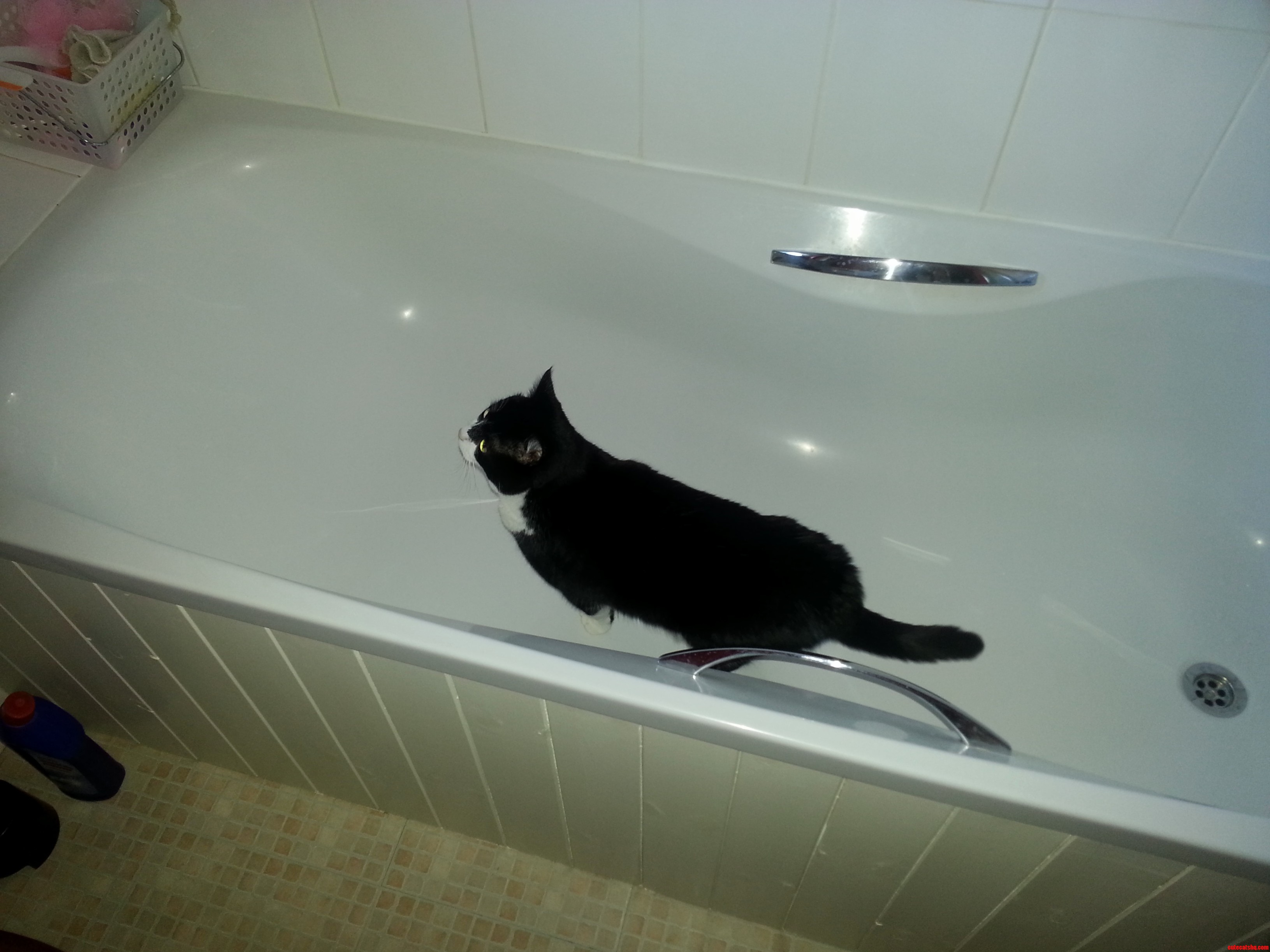 Clean Me Please