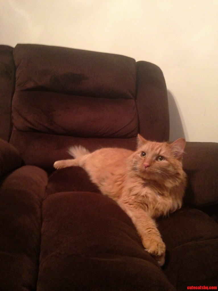 Couch It Is I Guess