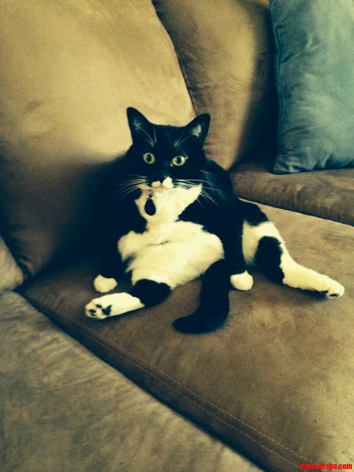 Delilah.