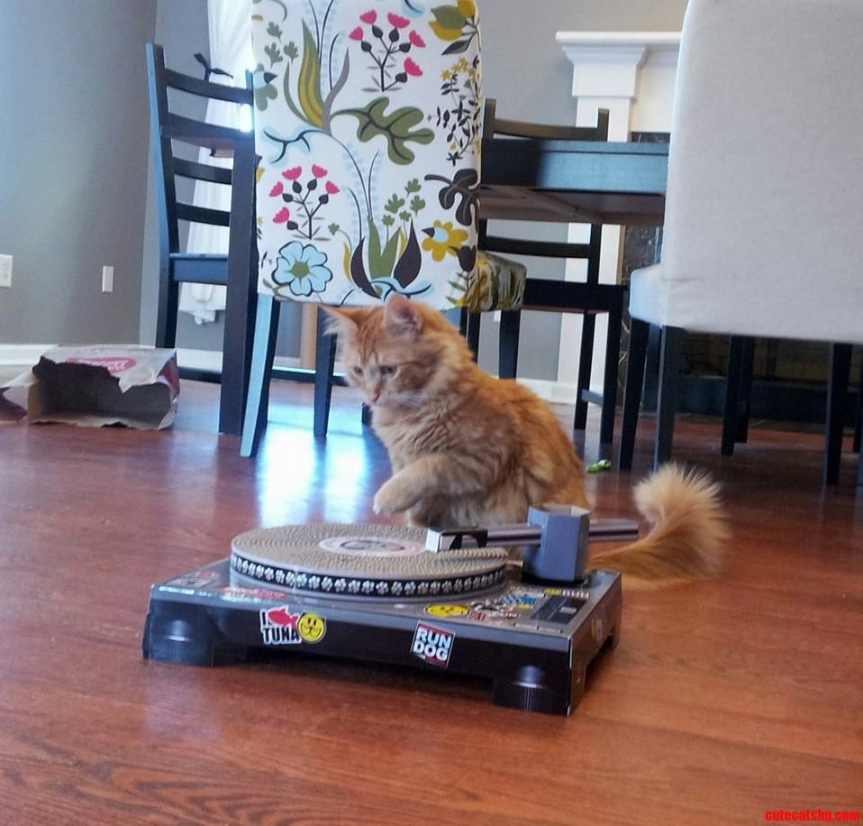Dj Jack Spinning Sick Beats