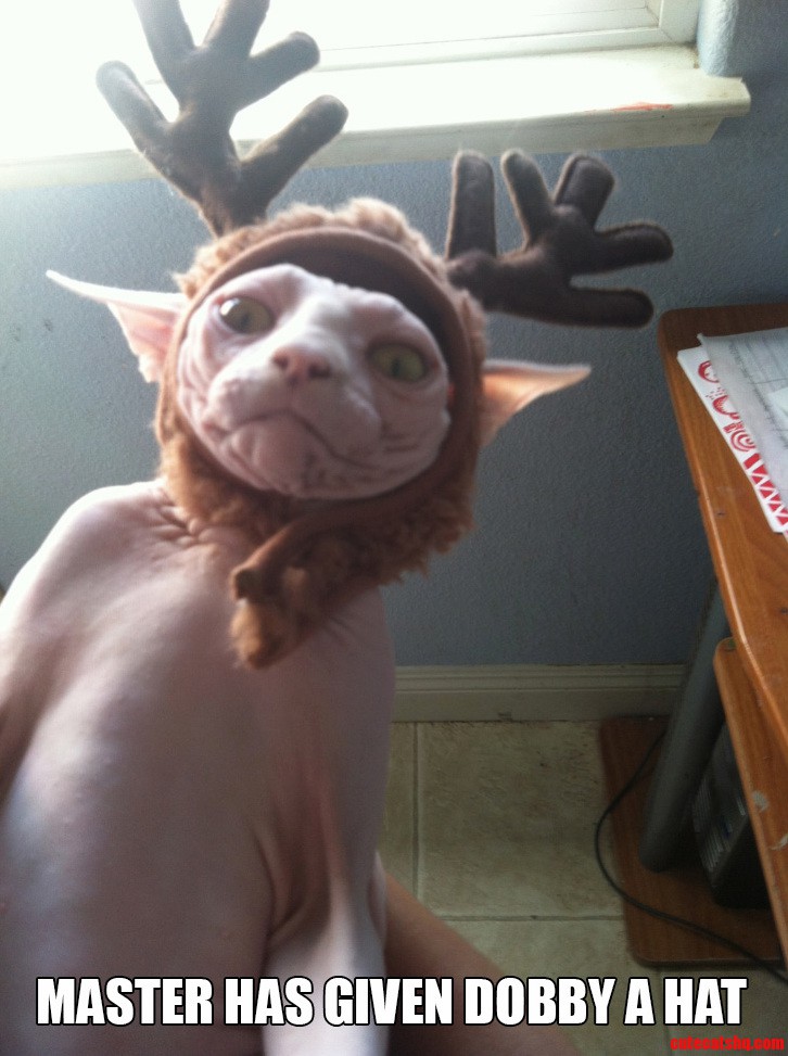 Dobby Is a Free Elf