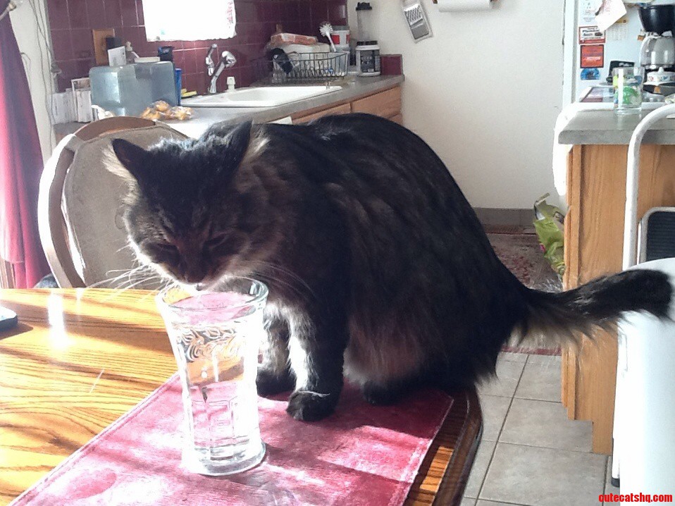 Dont Mind Me Just Getting Some Water.