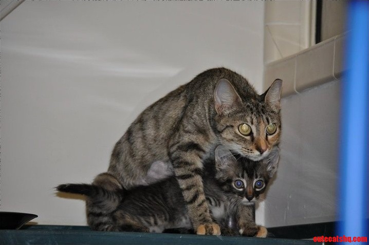 Dont Worry Little One Mama Will Protect You