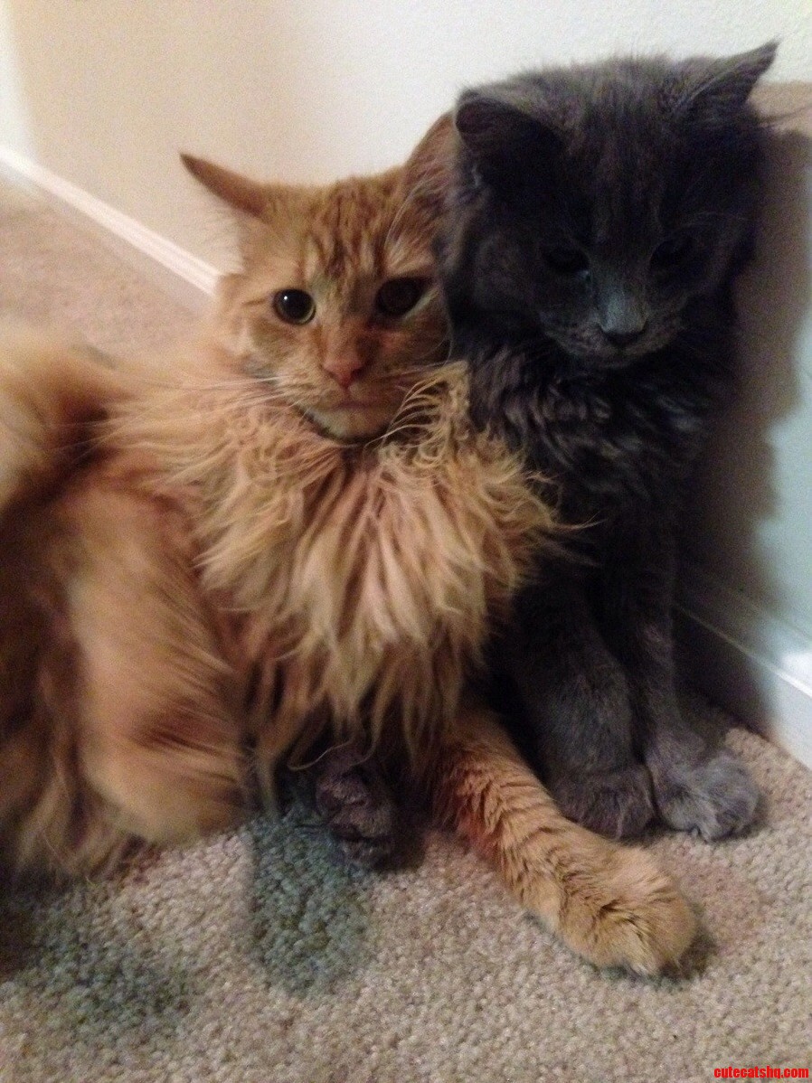 Double Trouble