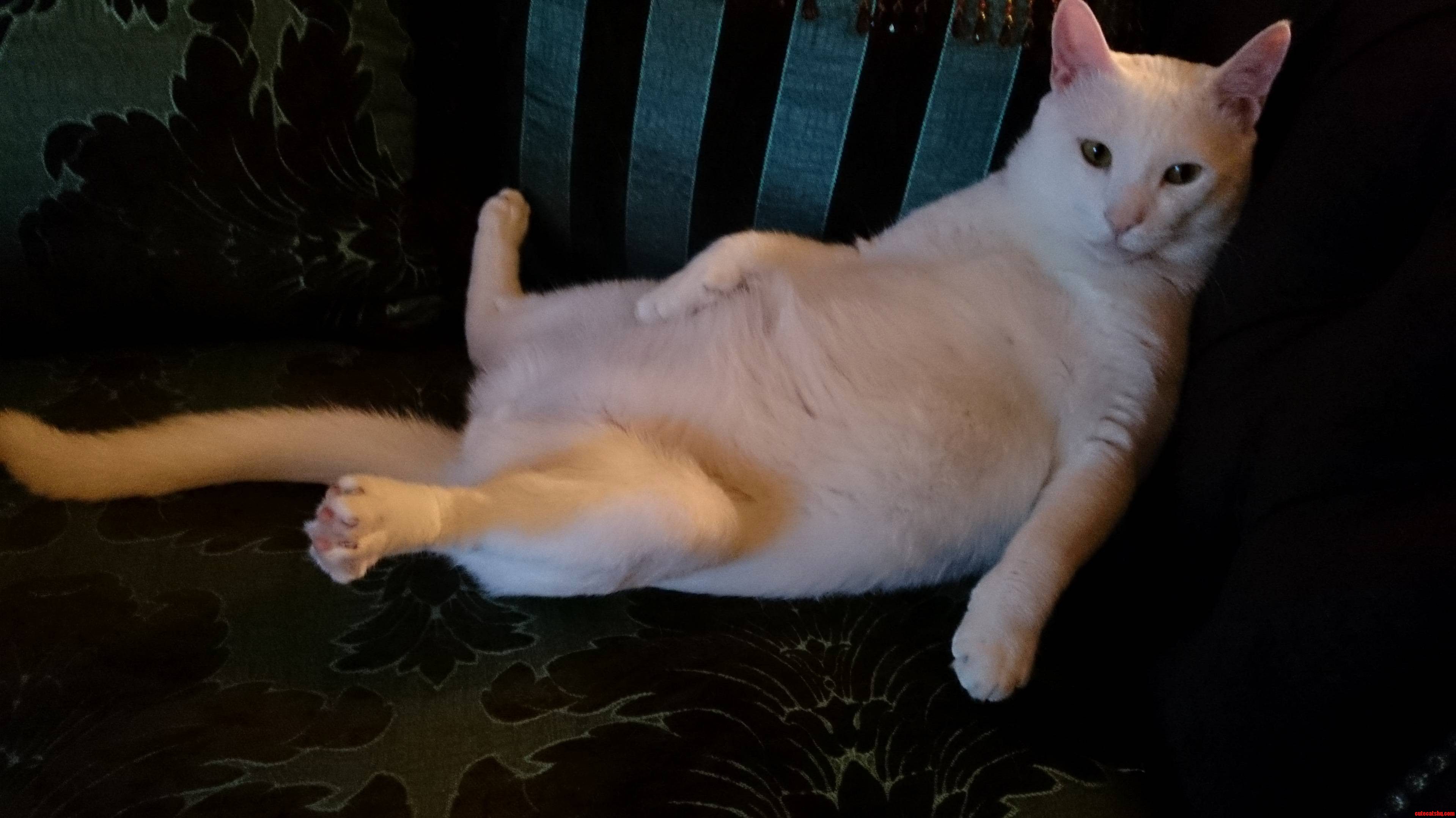 Draw Me Like One of Your French Girls...