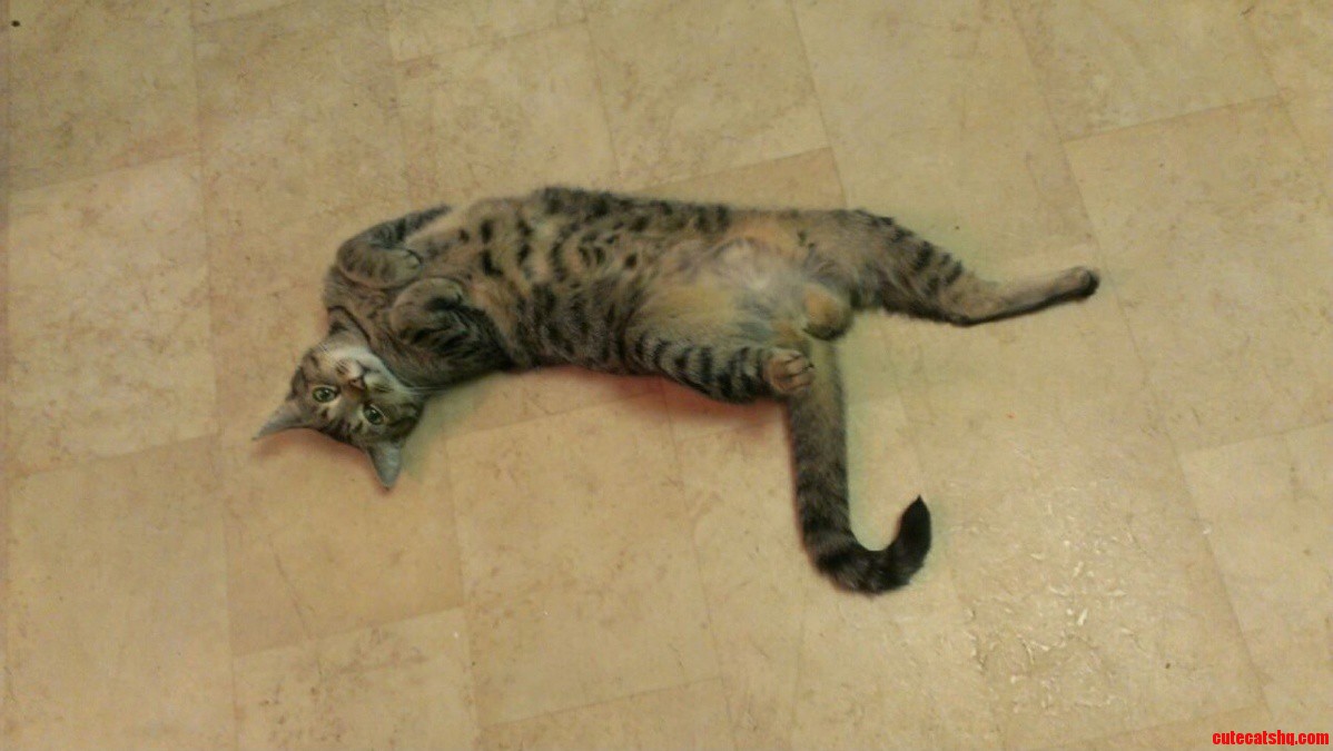 Draw Me Like One of Your French Girls
