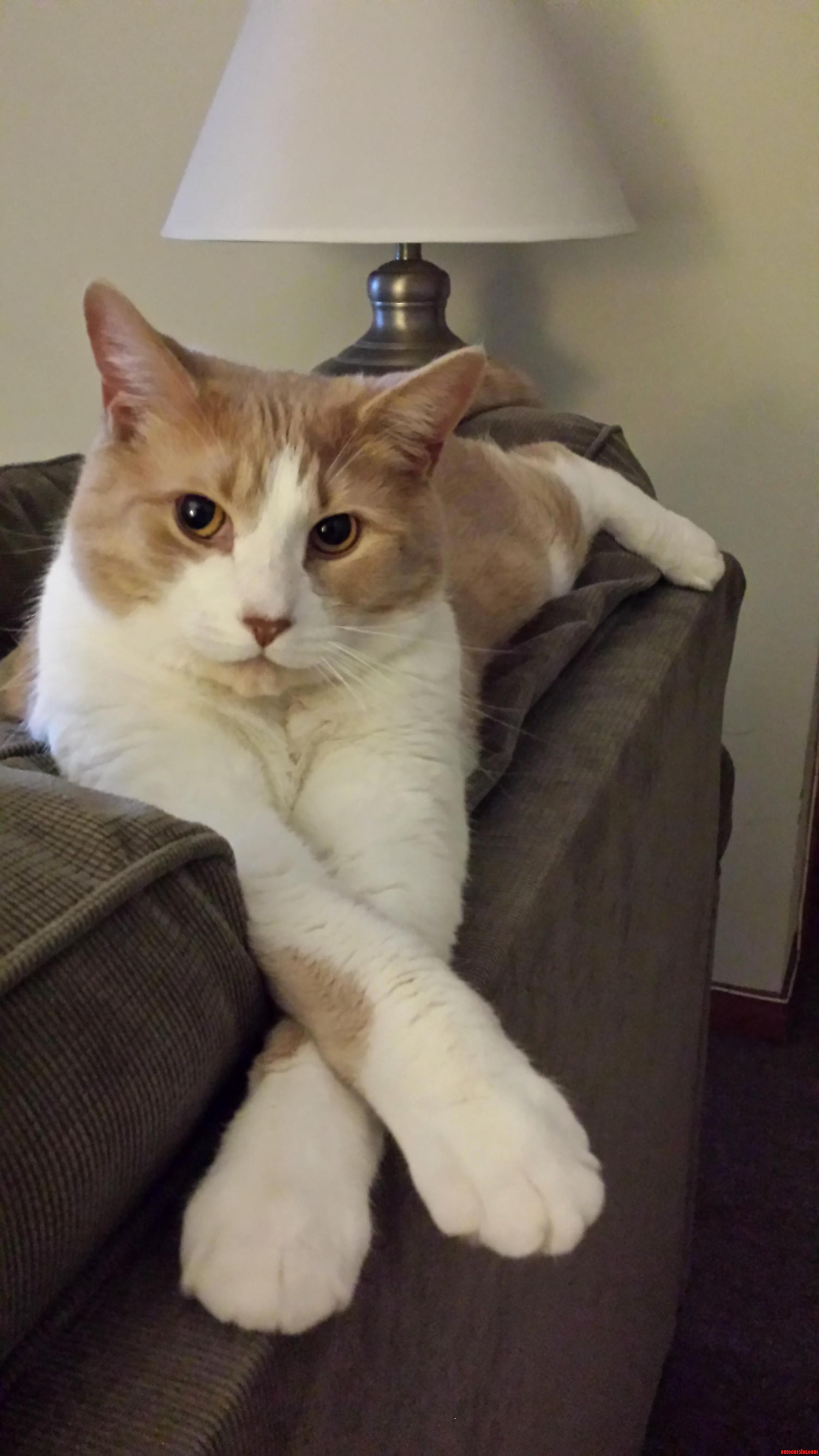 Elegance.