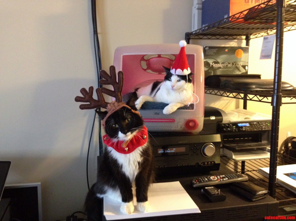 Everyone Hates Christmas Attire.